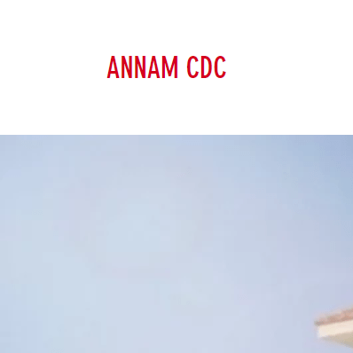 Annam Community Development Corporation - Vietnamese American Community Center - Vietnamese organization in Houston TX