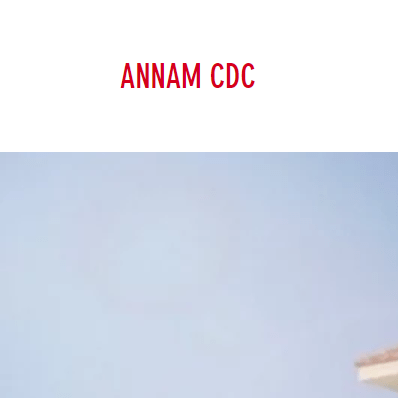 Vietnamese Nonprofits Near Me - Annam Community Development Corporation - Vietnamese American Community Center