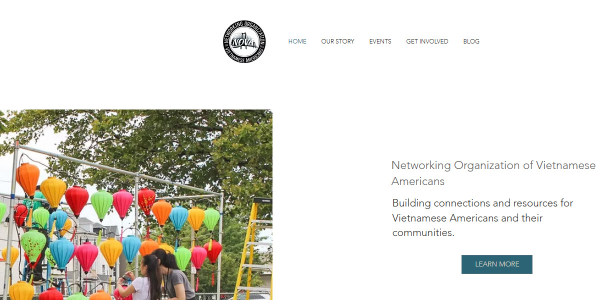 Networking Organization for Vietnamese-Americans