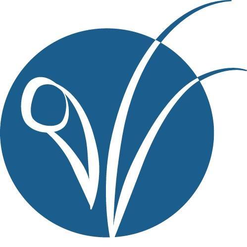 Vietnamese Nonprofits Near Me - Vietnamese American Initiative for Development