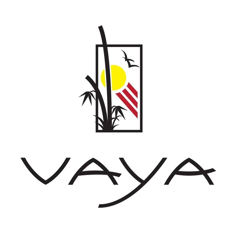 Vietnamese Speaking Nonprofits Near Me - Vietnamese American Youth Alliance